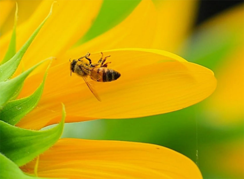 1648821951297757.jpg 艾木传媒利用景深合成突破对焦范围限制的拍摄技巧