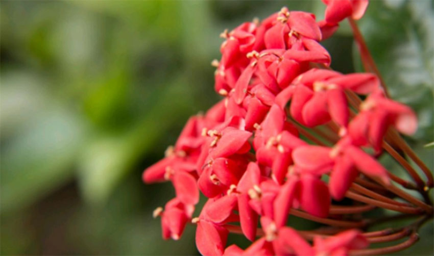 1649336848206162.jpg 摄影新手怎样快速提升自己的构图水平