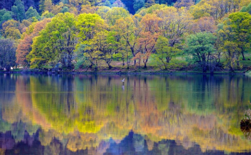 1649337466358176.jpg 艾木传媒风景摄影