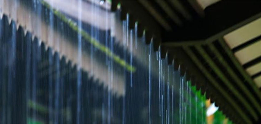 1649337966888686.jpg 如何拍摄雨滴雨丝的照片呢